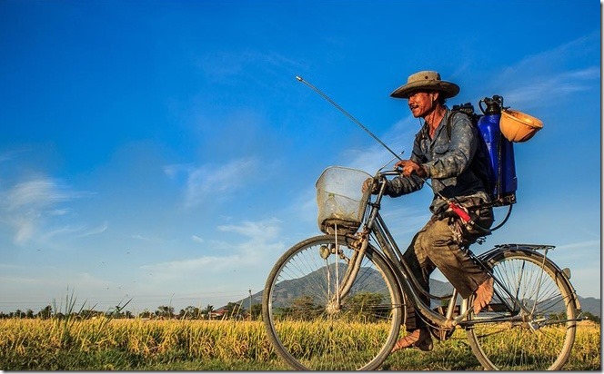 Cảnh đẹp Việt Nam