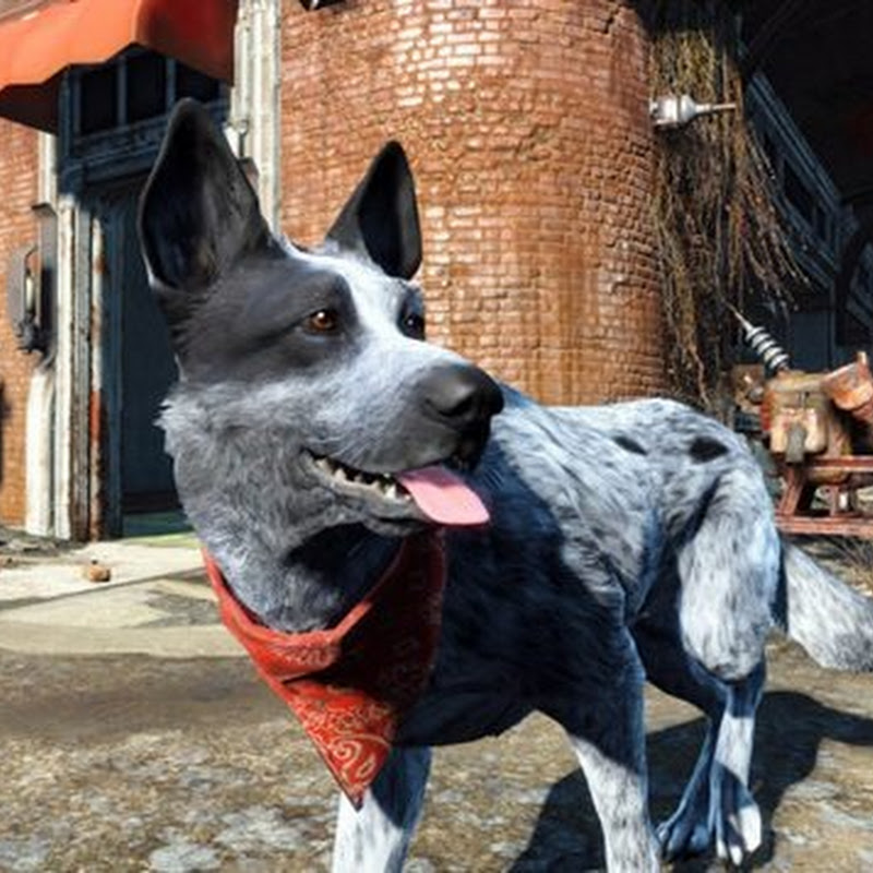 Fallout 4 Fan moddet seinen Hund ins Spiel
