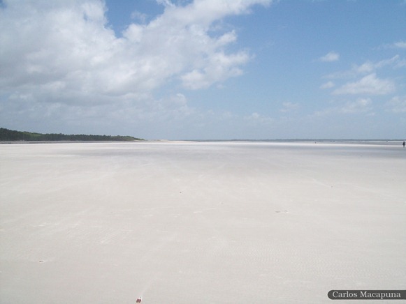 Praia das Corvinas - Salinopolis, Parà, fonte: Carlos Macapuna/Panoramio