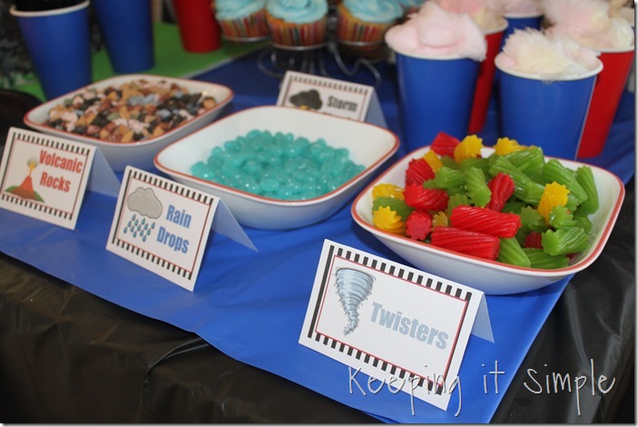 boy-birthday-party-idea-natural-disaster-party (5)