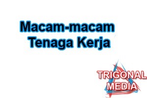 Macam-macam Tenaga Kerja