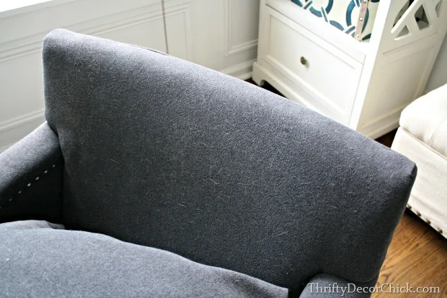 dark chair fabric with dog fur