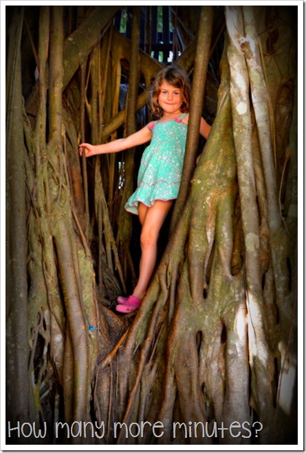 Cairns Esplanade & The Fig Tree Playground | How Many More Minutes?