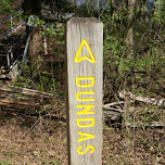 Dundas Peak trail in Dundas, Canada 