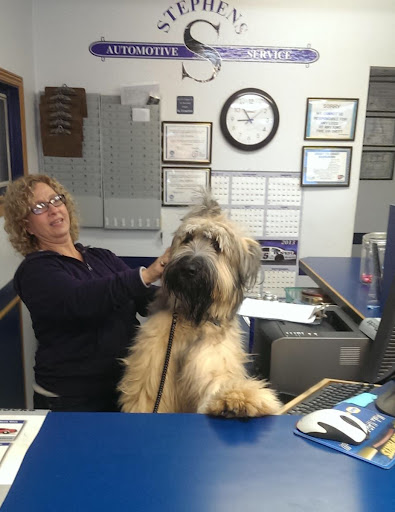 Veterinarian «Rush Animal Care Clinic», reviews and photos