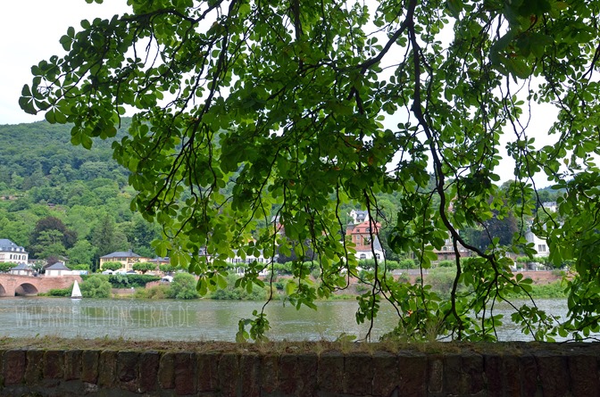 Geburtstagsausflug (02) nach Heidelberg