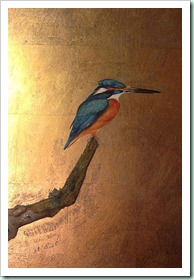 Kingfisher_by_Jack_3449432c