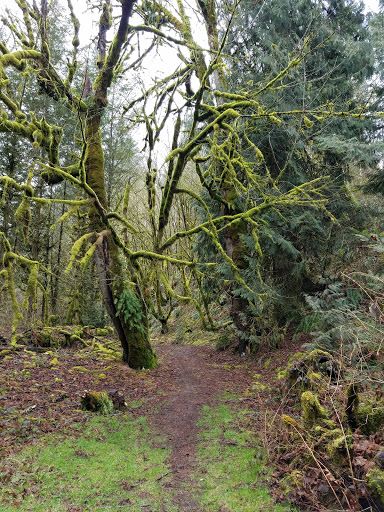 Forestry Service «Hopkins Demonstration Forest», reviews and photos, 16750 S Brockway Rd, Oregon City, OR 97045, USA