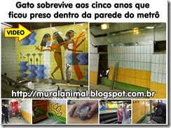 gato_metro