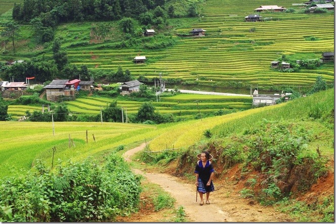 Mù Cang Chải - Cảnh Đẹp Việt Nam - Canh Dep Viet Nam