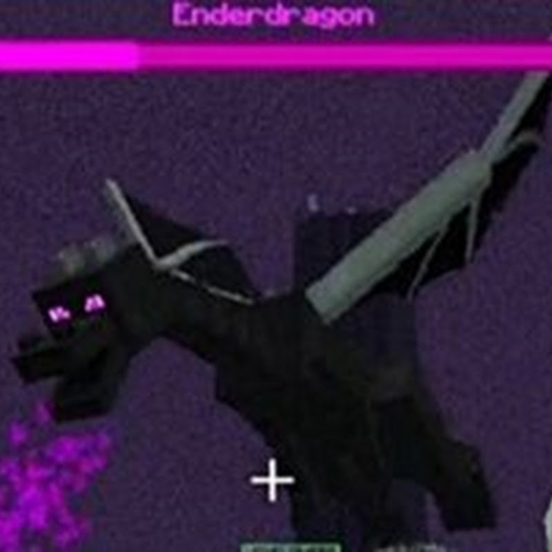 Minecraft – So töten Sie den Ender Dragon (Guide)