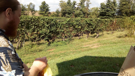 Vineyard «Elk Run Vineyards», reviews and photos, 15113 Liberty Rd, Mt Airy, MD 21771, USA