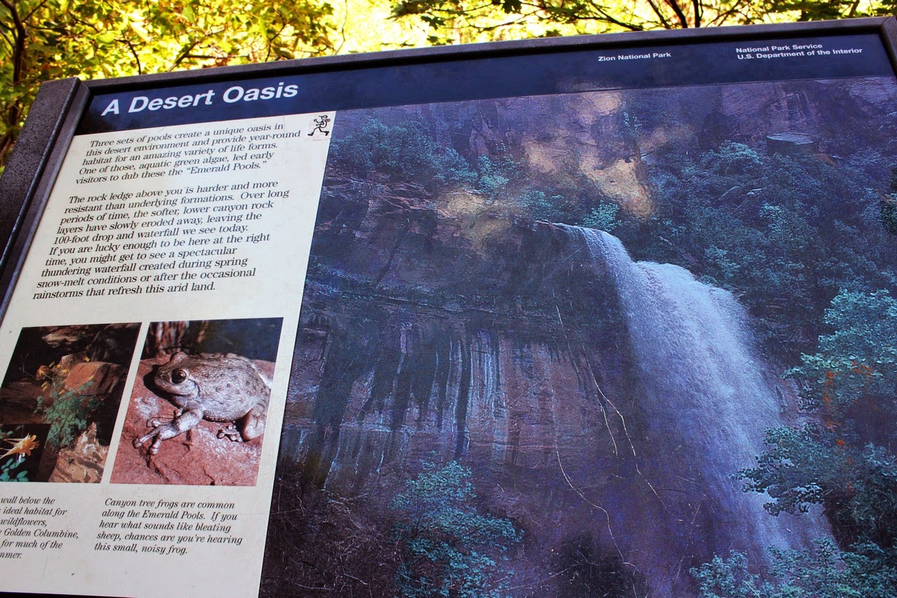 Día 12: Visita a Zion - Parques nacionales del oeste de EEUU and more (29)