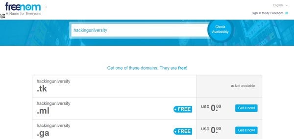 freenom domain names