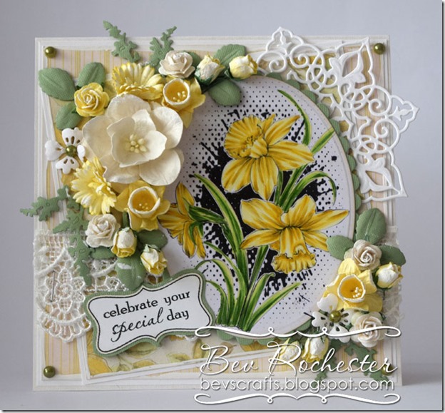 bev-rochester-noor-daffodils