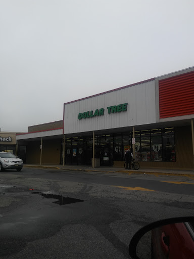 Dollar Store «Dollar Tree», reviews and photos, 135 Bloomfield Ave, Bloomfield, NJ 07003, USA