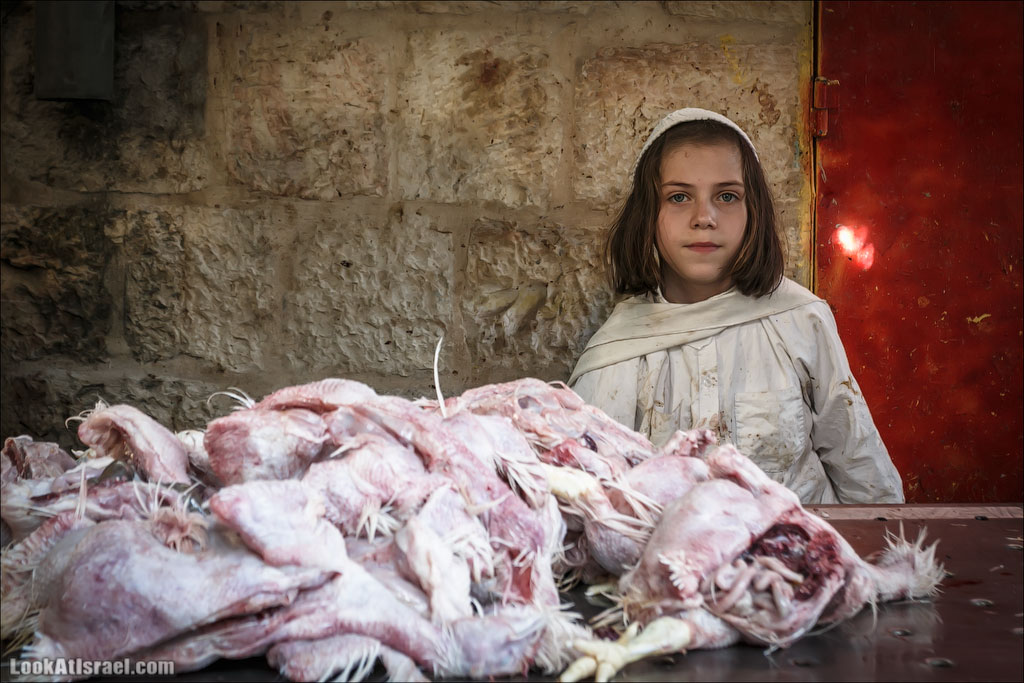 Обряд Капарот в Меа Шаарим, Иерусалим | Kaparot in Mae Shearim, Jerusalem | כפרות במאה שערים, ירושלים | LookAtIsrael.com - Фото путешествия по Израилю Обряд Капарот в Меа Шаарим, Иерусалим | Kaparot in Mae Shearim, Jerusalem | כפרות במאה שערים, ירושלים | LookAtIsrael.com - Фото путешествия по Израилю