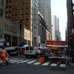 nyc market in New York City, United States 