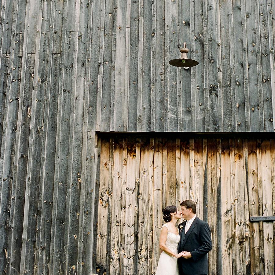 Maine Wedding   Fat Orange Cat