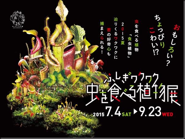 Osaka poster