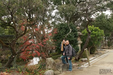 IMG_7379 IMG_7379