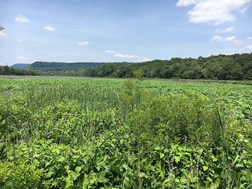 Nature Preserve «Benjamin Olewine III Nature Center», reviews and photos, 100 Wildwood Way, Harrisburg, PA 17110, USA