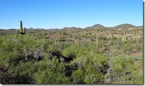 Beardsley Trail Lake Pleasant 024