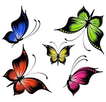 colorful-butterflies