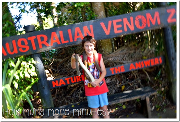 Australian Venom Zoon in Kuranda | How Many More Minutes?