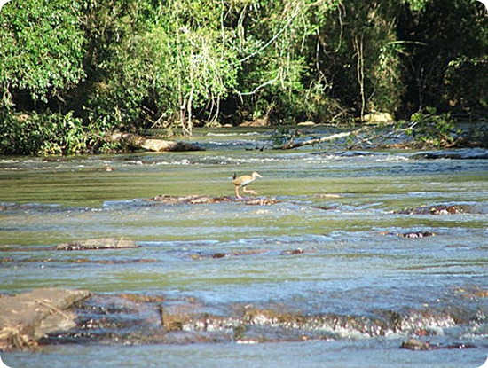 PARQUE PROVINCIAL YACUY