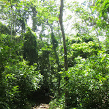 Trilha da Cachoeira San Ramón, ilha de Ometepe, Nicarágua