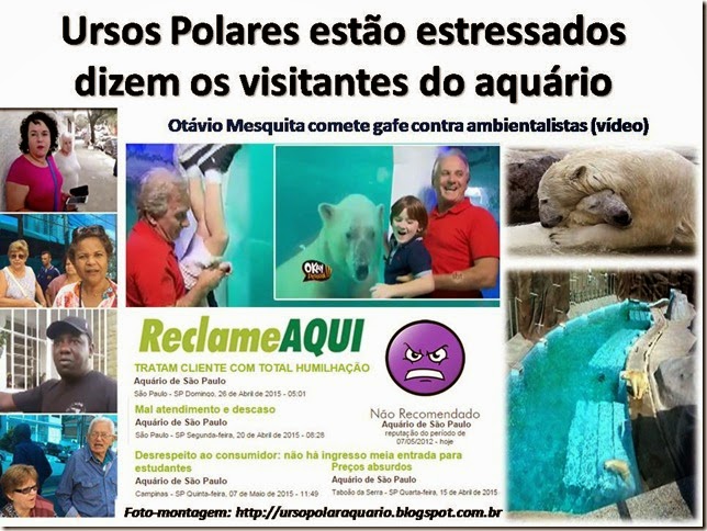 ursos_polares_estressados