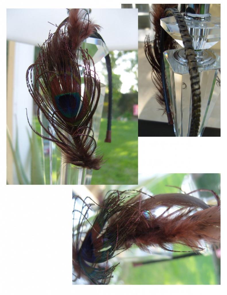 Reddish Brown peacock feather