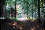 Forest path near Zeven, Niedersachsen, northern Germany, near Bremen.