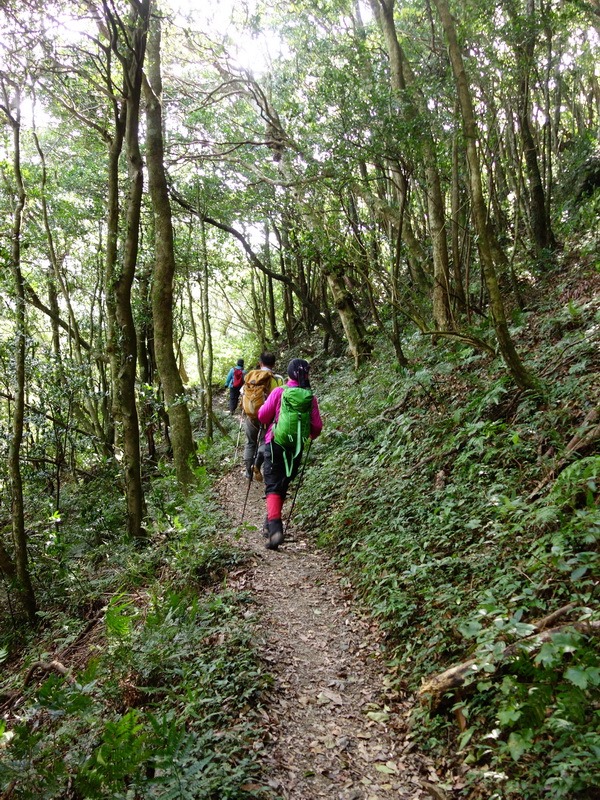 2013_1207 東滿步道→拉卡山→北插天山水源地_132