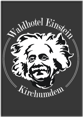 einstein wit