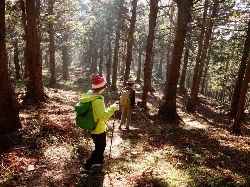 2014_0118 鳶嘴山西北稜→大崠山來回_074