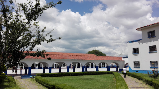 Patio De Honor, 56235, Periférico 6, Universidad Autonoma de Chapingo, Texcoco de Mora, Méx., México, Actividades recreativas | EDOMEX