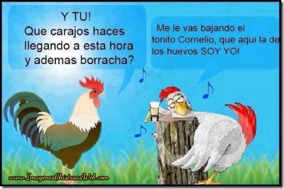 imagen-chistosa-de-una-gallina-borracha imagen-chistosa-de-una-gallina-borracha