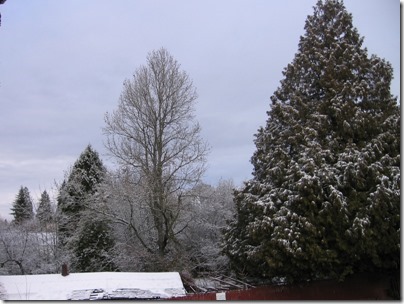 IMG_5346 Snow in Milwaukie, Oregon on January 25, 2009