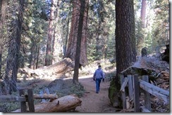 Hiking and Site Seeing in Kings Canyon-001