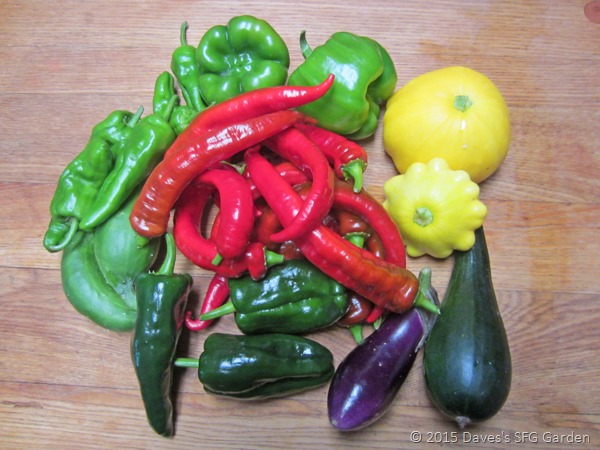 [peppers3.jpg]