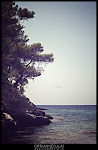 Marble Beach - Thasos - August 2012 - Photo by Ciprian Neculai / http://artandcolor.ro Marble Beach - Thasos - August 2012 - Photo by Ciprian Neculai / http://artandcolor.ro
