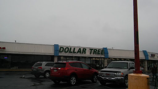 Dollar Store «Dollar Tree», reviews and photos, 200 N Best Ave f, Walnutport, PA 18088, USA