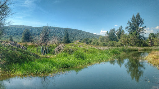 Parque Acuatico Agua Caliente, Carretera Guadalajara-Barra de Navidad KM 56, Los Pozos, 45730 Villa Corona, Jal., México, Parque de atracciones | JAL