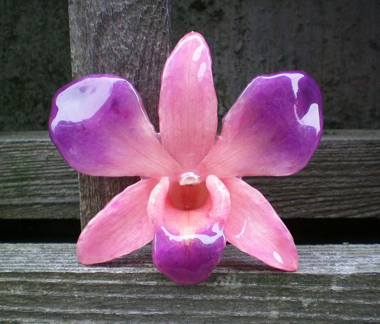 Black Friday Etsy Sale REAL Natural Magenta Purple and Pink ORCHID Pin and