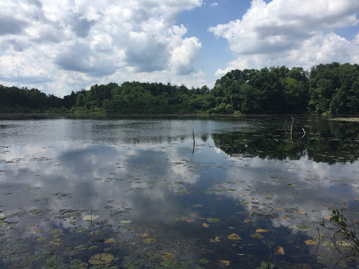 Nature Preserve «Beaver Meadow Audubon Center», reviews and photos, 1610 Welch Rd, Java Center, NY 14082, USA