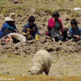 Família no campo - Cajamarca, Peru