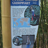 The sign for the double - wattled cassowary at the Nashville Zoo 09032011