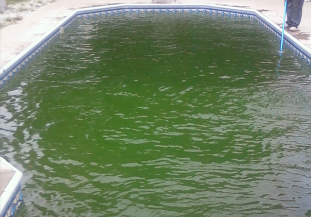 dirty pool